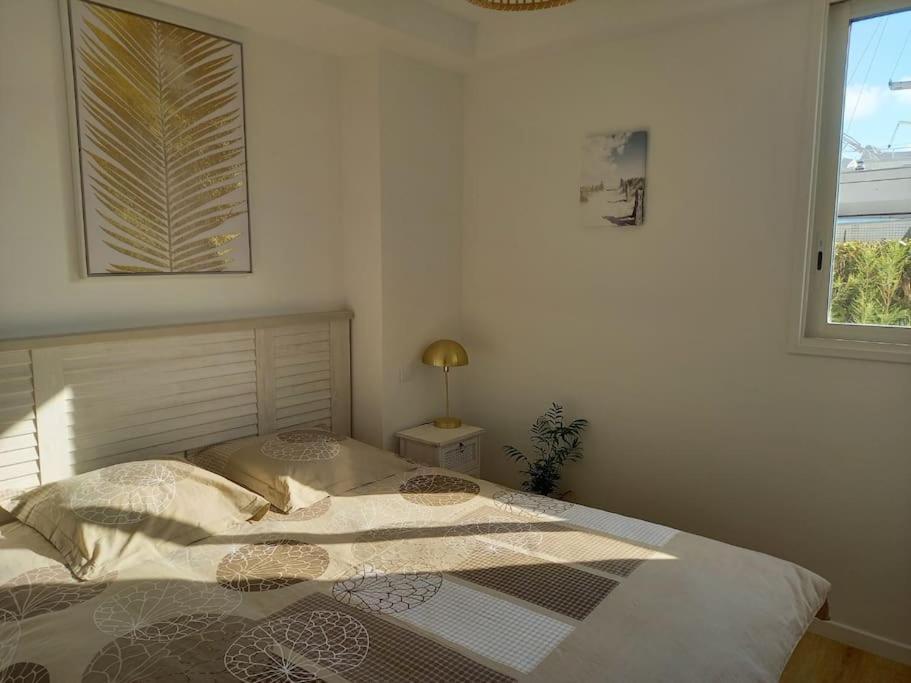 Appartement 100 M2 Terrasse Piscine Gruissan Buitenkant foto
